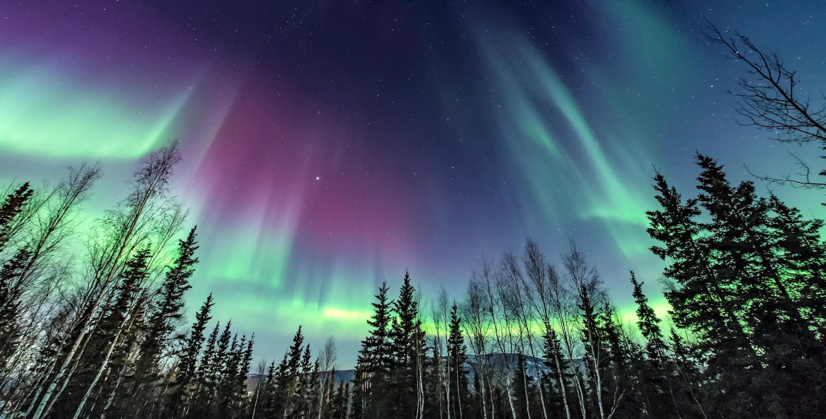 New Venture Creation & Growth Strategies