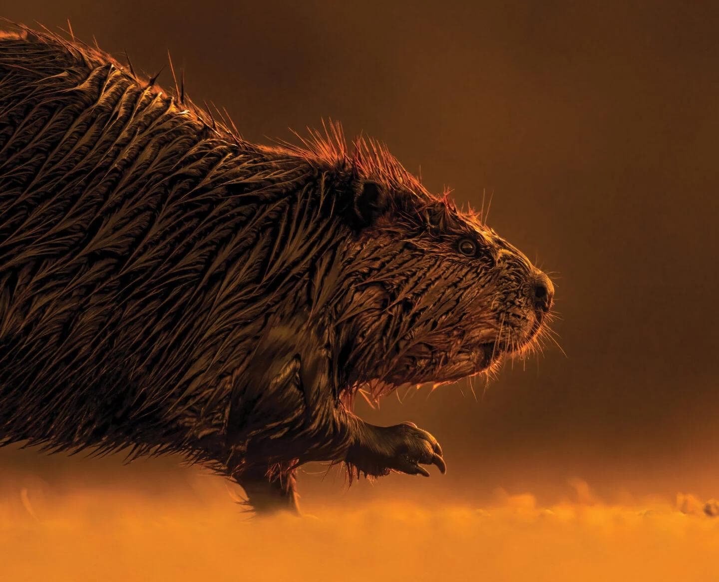 Digital Innovation and Strategy